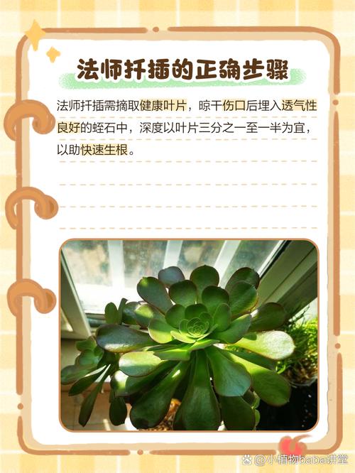 扦插老不生根？扦插一直不生根？-第5张图片-优品飞百科