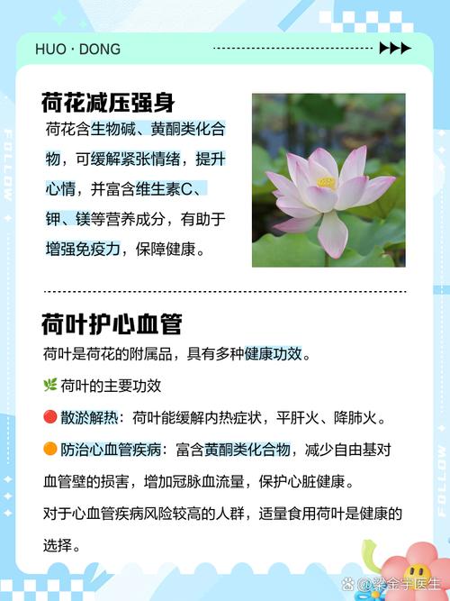 荷花放在家里不吉利吗？荷花摆放在屋里好吗？-第3张图片-优品飞百科