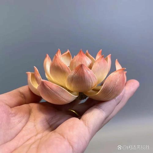 荷花放在家里不吉利吗？荷花摆放在屋里好吗？-第6张图片-优品飞百科