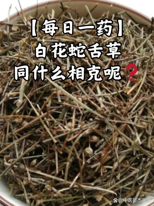 半边莲的功效和作用，半边莲的功效和作用主治-第3张图片-优品飞百科
