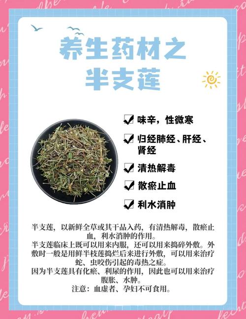 半边莲的功效和作用，半边莲的功效和作用主治-第6张图片-优品飞百科
