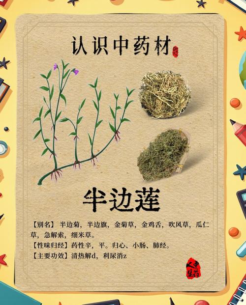 半边莲的功效和作用，半边莲的功效和作用主治-第7张图片-优品飞百科