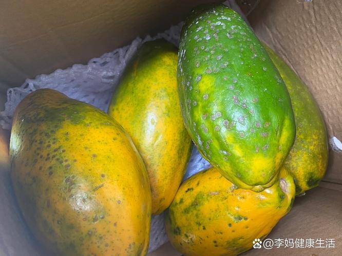 木瓜皮能吃吗，木瓜皮子能不能吃-第3张图片-优品飞百科