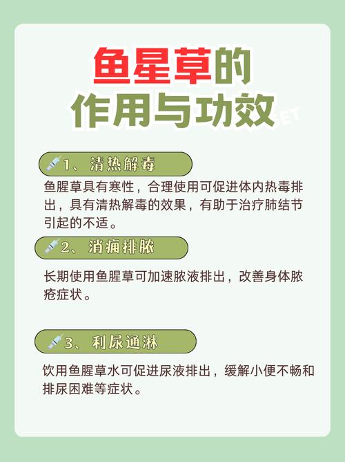 鱼腥草的功效与作用，桔梗的功效与作用-第2张图片-优品飞百科