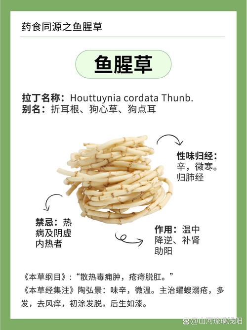 鱼腥草的功效与作用，桔梗的功效与作用-第3张图片-优品飞百科