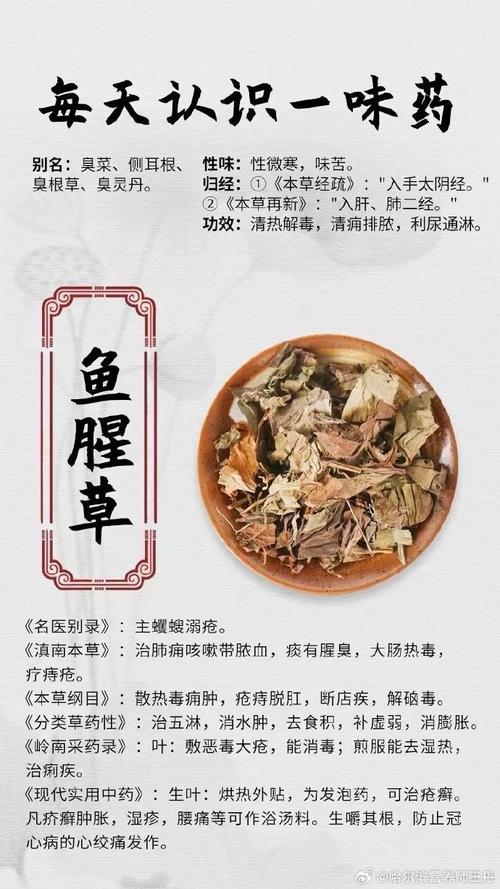 鱼腥草的功效与作用，桔梗的功效与作用-第5张图片-优品飞百科