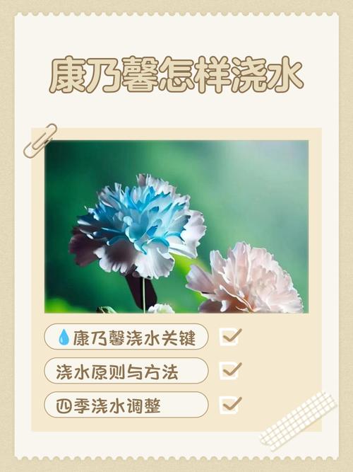 康乃馨怎么浇水，康乃馨怎么浇水不烂根？