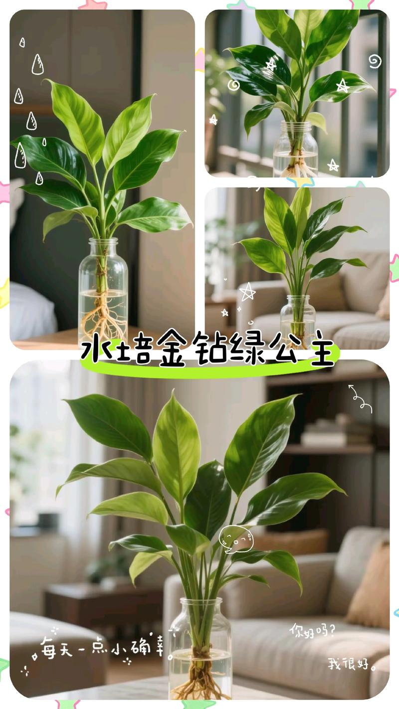 吊兰在室内叶子发黄怎么回事，家里吊兰叶子是黄的怎么回事