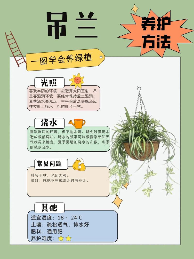 吊兰在室内叶子发黄怎么回事，家里吊兰叶子是黄的怎么回事-第4张图片-优品飞百科