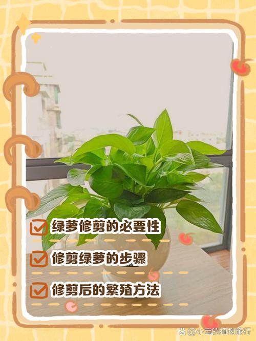 绿萝怎么修剪？绿萝怎么修剪枝叶视频教程？-第2张图片-优品飞百科