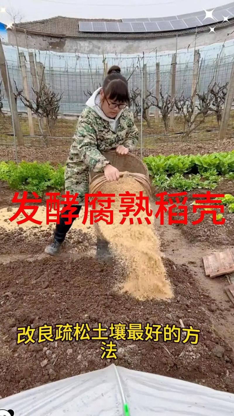 改善土壤肥力的小方法？改善土壤肥力的小方法有哪些？-第2张图片-优品飞百科