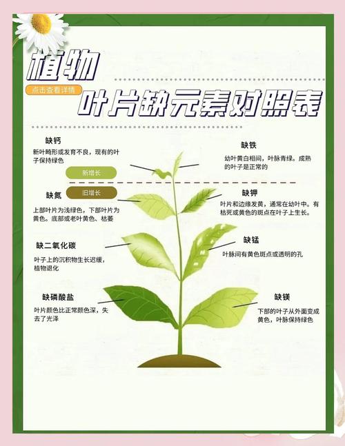 改善土壤肥力的小方法？改善土壤肥力的小方法有哪些？-第3张图片-优品飞百科