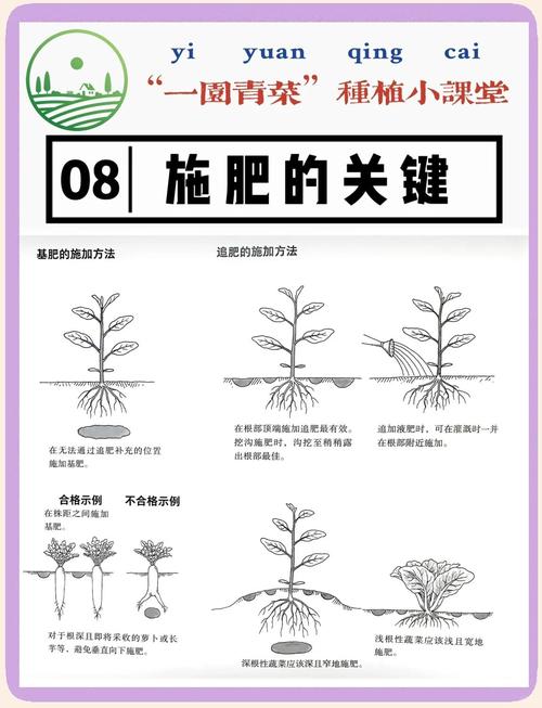 改善土壤肥力的小方法？改善土壤肥力的小方法有哪些？-第5张图片-优品飞百科