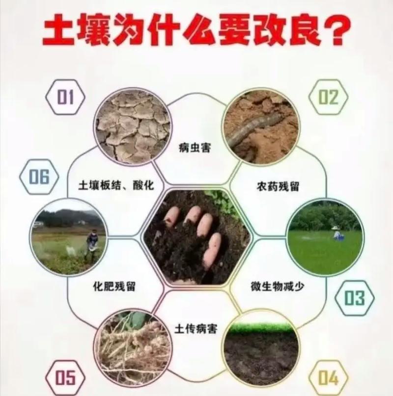 改善土壤肥力的小方法？改善土壤肥力的小方法有哪些？-第7张图片-优品飞百科