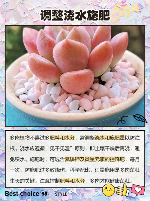 多肉黑腐王就是它！赶紧救~否则全死光！，多肉黑腐长什么样-第6张图片-优品飞百科