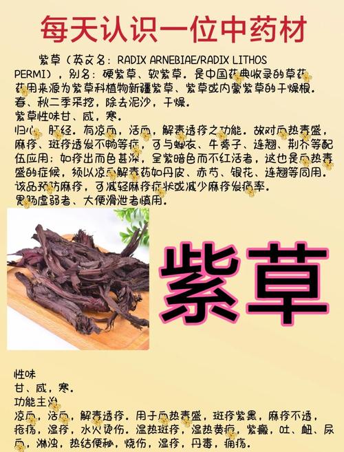 滇紫草的功效与作用，长花滇紫草的功效与作用-第4张图片-优品飞百科