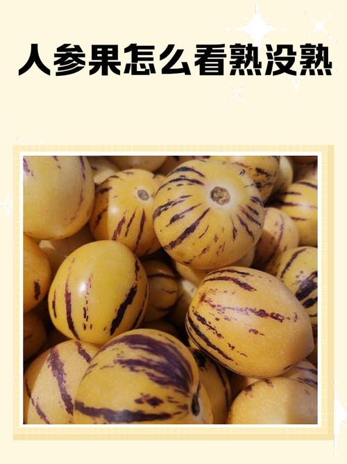 人参果怎么辨别熟不熟，熟了会变软吗，人参果怎么辨别熟不熟,熟了会变软吗图片？-第3张图片-优品飞百科