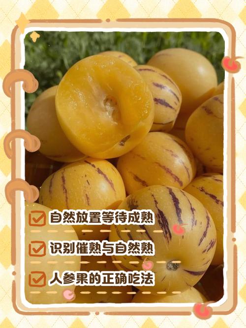 人参果怎么辨别熟不熟，熟了会变软吗，人参果怎么辨别熟不熟,熟了会变软吗图片？-第5张图片-优品飞百科