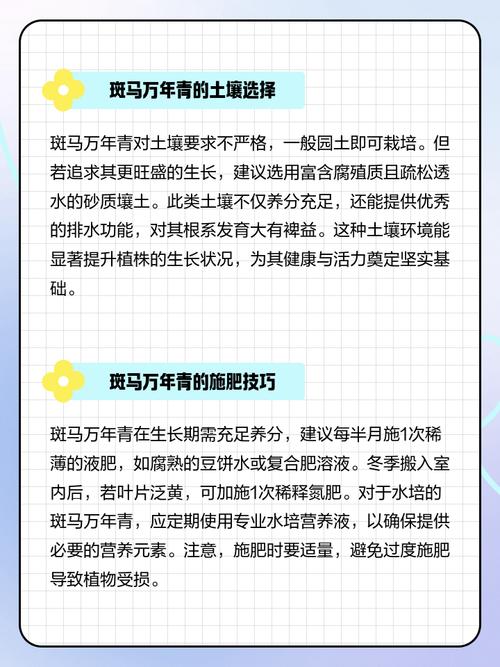 斑马万年青的繁殖方法，斑马万年青的繁殖方法有哪些？-第5张图片-优品飞百科