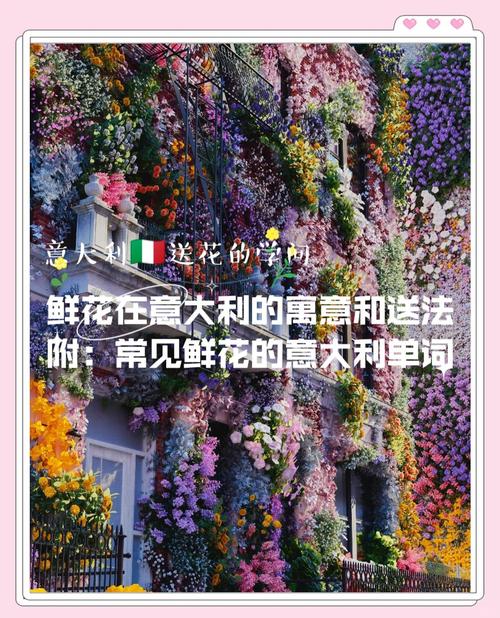 向外国人送花禁忌？外国送花的礼仪？-第3张图片-优品飞百科