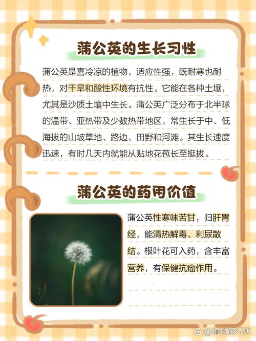 蒲公英的资料，蒲公英图片，蒲公英的秒懂百科？-第5张图片-优品飞百科
