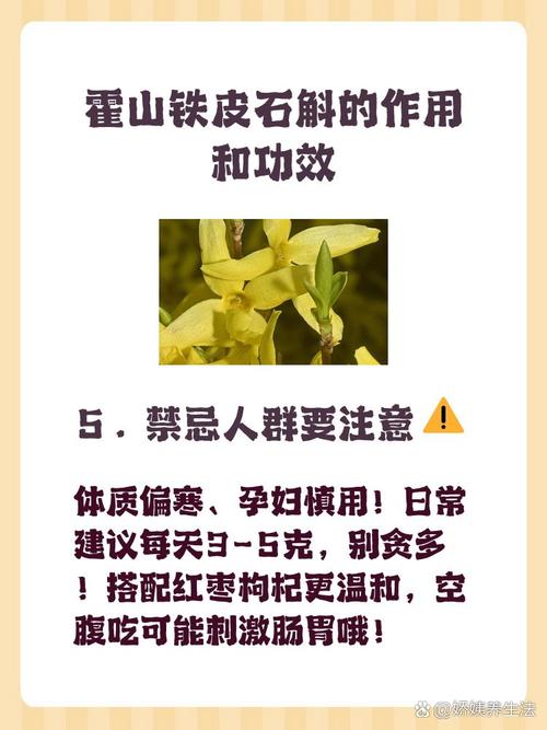 霍山石斛的功效与作用，霍山石斛的功效与作用的功能-第2张图片-优品飞百科