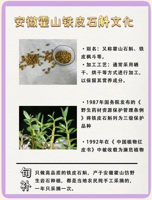 霍山石斛的功效与作用，霍山石斛的功效与作用的功能-第4张图片-优品飞百科