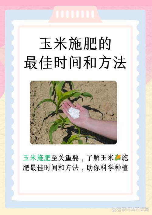 玉米怎么播种种子，玉米播种种子方向