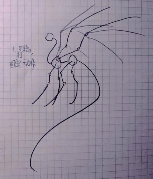 飞龙施肥方法？飞龙杀虫？