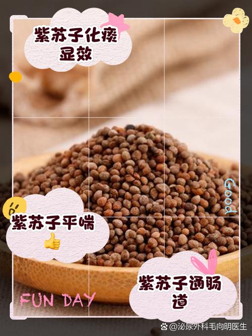 炒紫苏子的功效与作用，紫苏子的功效与作用及禁忌？炒紫苏子有什么功效？