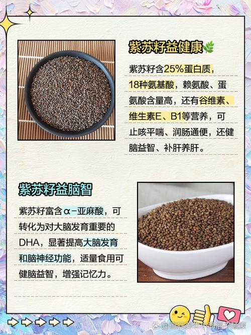 炒紫苏子的功效与作用，紫苏子的功效与作用及禁忌？炒紫苏子有什么功效？-第5张图片-优品飞百科