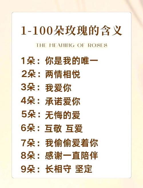 玫瑰花的含义是什么，送多少朵的含义，玫瑰花送多少支,花语-第3张图片-优品飞百科