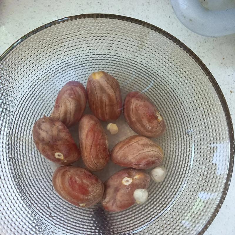 菠萝蜜的核怎么种盆栽？菠萝蜜的核能种吗?怎么种？-第3张图片-优品飞百科