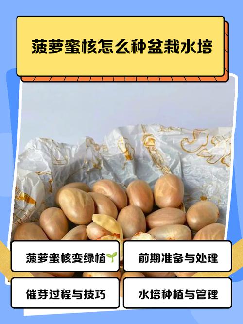 菠萝蜜的核怎么种盆栽？菠萝蜜的核能种吗?怎么种？-第5张图片-优品飞百科