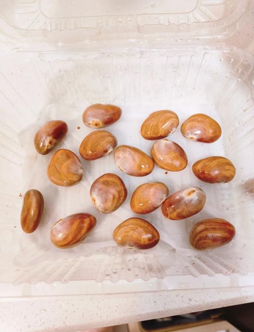 菠萝蜜的核怎么种盆栽？菠萝蜜的核能种吗?怎么种？-第6张图片-优品飞百科