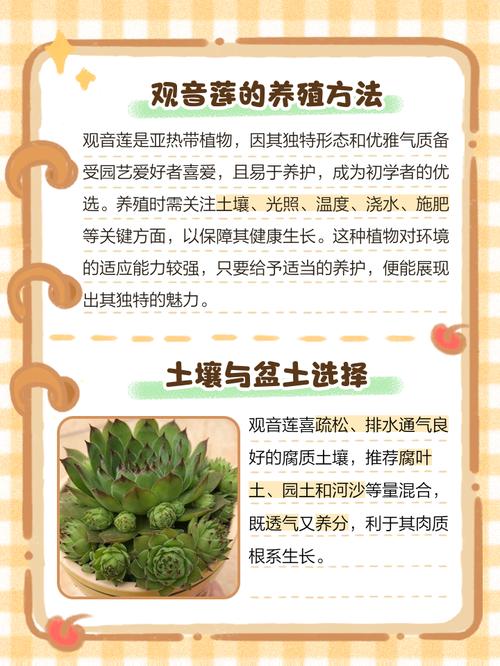 莲花的养殖方法和注意事项，莲花要怎么养活?？