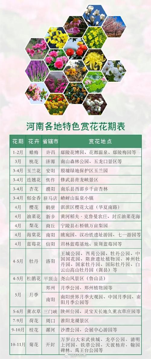呼和浩特适合养什么花，市花和市树是什么？呼和浩特市花叫什么名字？-第2张图片-优品飞百科