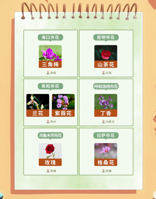 呼和浩特适合养什么花，市花和市树是什么？呼和浩特市花叫什么名字？-第4张图片-优品飞百科