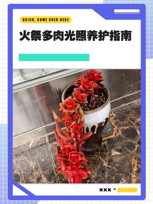 火祭怎么施肥，火祭怎么浇水？-第3张图片-优品飞百科