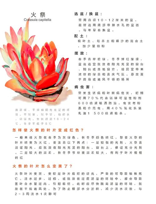 火祭怎么施肥，火祭怎么浇水？-第4张图片-优品飞百科