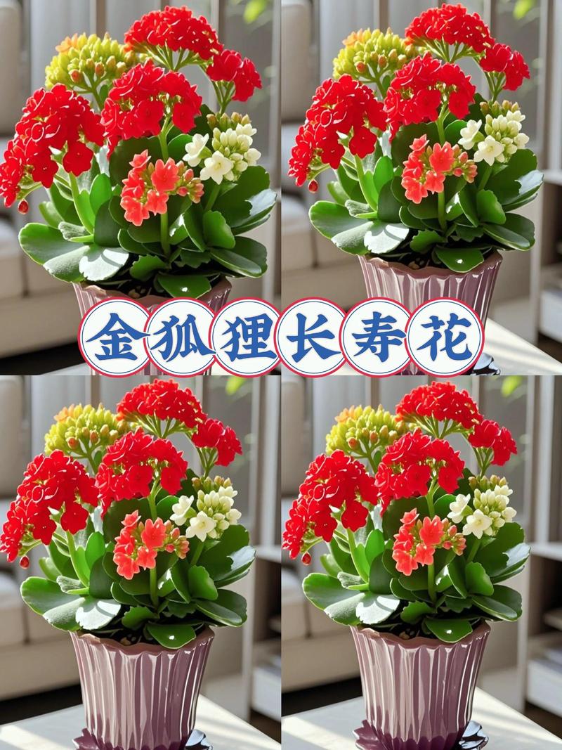 种了这10盆香草，家里不用买调料了？香草怎样种植与管理?？-第2张图片-优品飞百科
