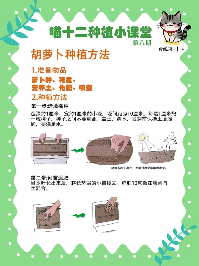 这6样吃的，埋土里1两，挖出来10斤！，埋在土里的蔬菜有哪些？