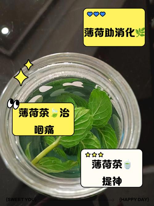 薄荷叶的功效与作用，薄荷叶泡水的功效？薄荷叶泡水的功效与作用及禁忌？