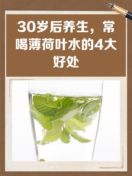 薄荷叶的功效与作用，薄荷叶泡水的功效？薄荷叶泡水的功效与作用及禁忌？-第2张图片-优品飞百科