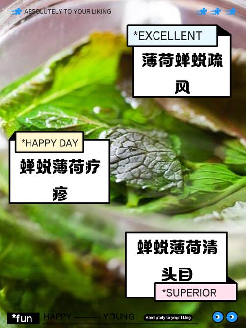 薄荷叶的功效与作用，薄荷叶泡水的功效？薄荷叶泡水的功效与作用及禁忌？-第4张图片-优品飞百科
