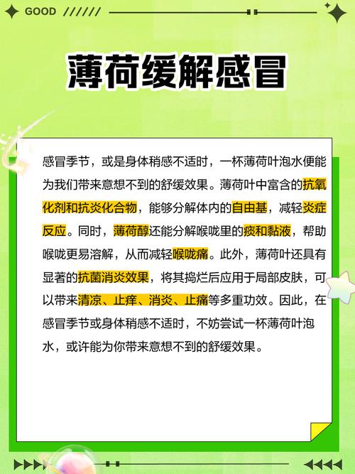 薄荷叶的功效与作用，薄荷叶泡水的功效？薄荷叶泡水的功效与作用及禁忌？-第5张图片-优品飞百科