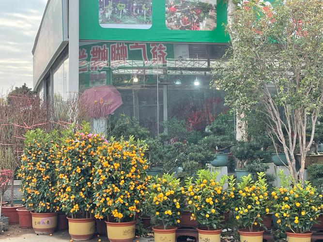 武威适合养什么花，市花和市树是什么？武威买花的地方？-第4张图片-优品飞百科