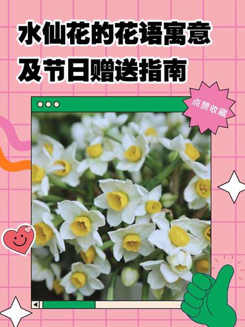 水仙花花语和象征，送水仙花代表什么含义，送水仙花的寓意