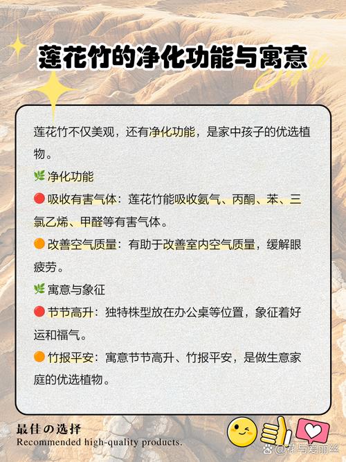 莲花竹会开花吗，莲花竹能活多久？-第3张图片-优品飞百科