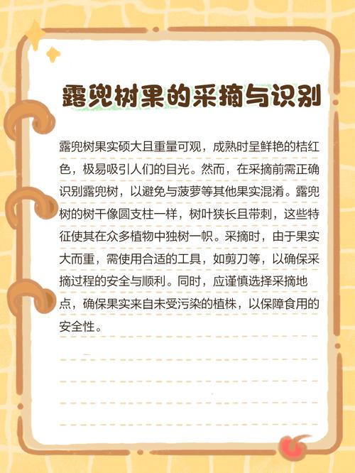 露兜树果实能不能吃，露兜树果子能吃吗-第2张图片-优品飞百科